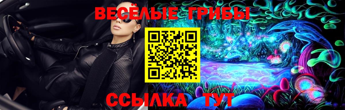 где можно купить   Вход с VPN  Ревда  Галлюциногенные грибы Cubensis  Галлюциногенные грибы Magic Shrooms 