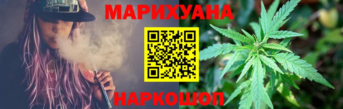 Конопля гибрид Ревда